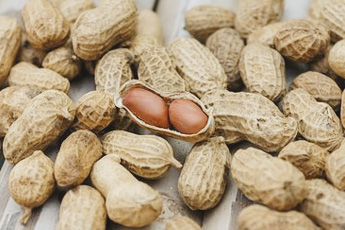 Арахис подземный, или земляной орех - aptechka.org