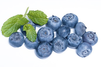 Черника обыкновенная  - aptechka.org