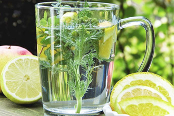 Кулинарные рецепты приготовления блюд с использованием дикорастущих растений - aptechka.org