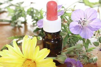 Лечение фитопрепаратами ринита (насморка) у детей - aptechka.org