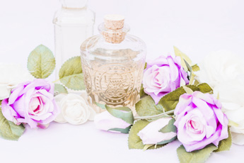 Фитосборы для лечения нарушений сна - расстройств засыпания и недостаточной глубине сна - aptechka.org