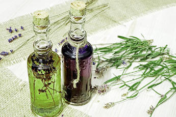 Как правильно принимать фитопрепараты - aptechka.org