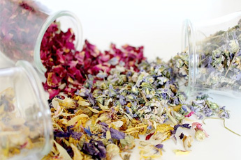 Польза и вред лечения растительными растениями - aptechka.org