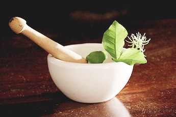 Из истории фитотерапии - aptechka.org