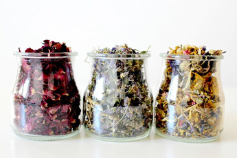 Как правильно хранить лекарственные растения - aptechka.org