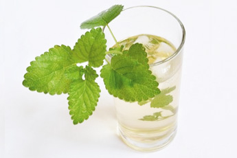 Мелисса лекарственная, или мята лимонная - aptechka.org