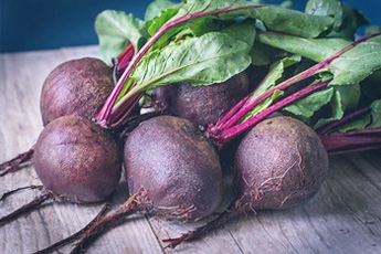 Свекла обыкновенная - aptechka.org