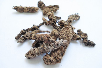 Валериана лекарственная - aptechka.org