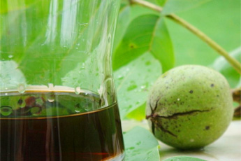 Растения - красители для волос - aptechka.org